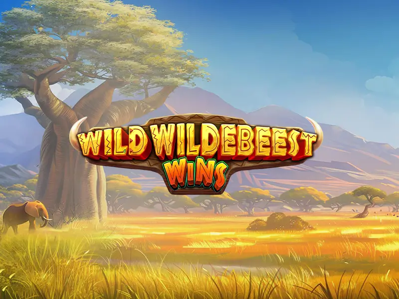 Wild Wildebeest Wins - Hình ảnh trò chơi